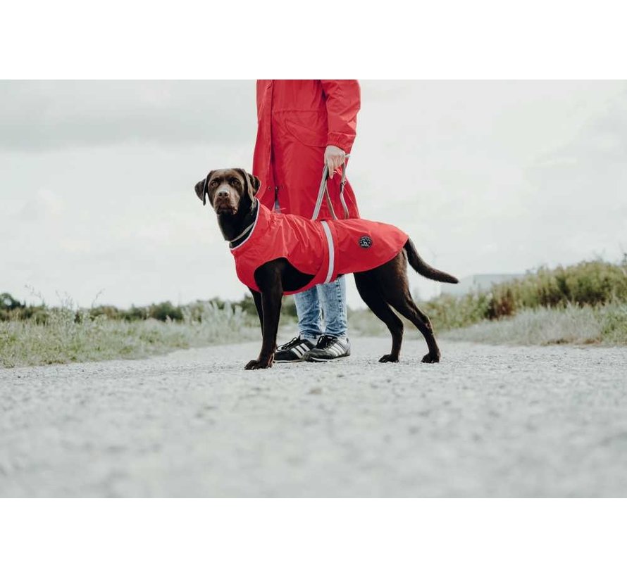 Dog Raincoat Uppsala Red