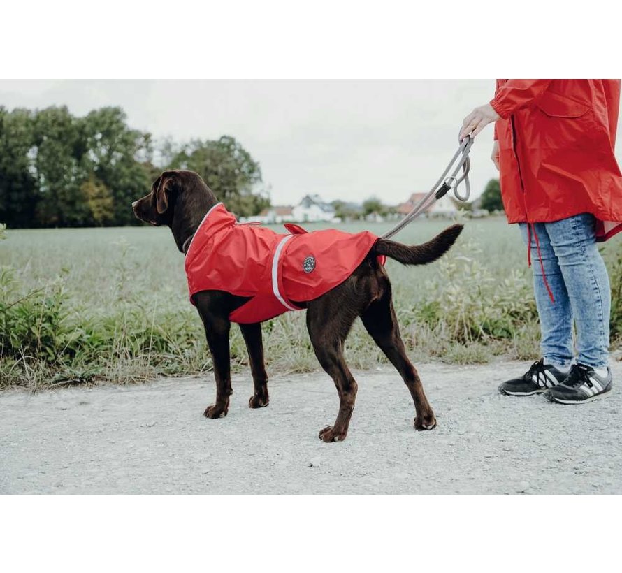Hondenregenjas Uppsala Rood