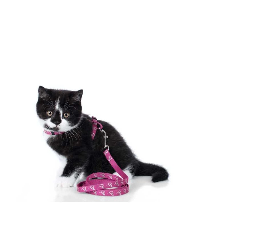 Cat Harness Laura Pink