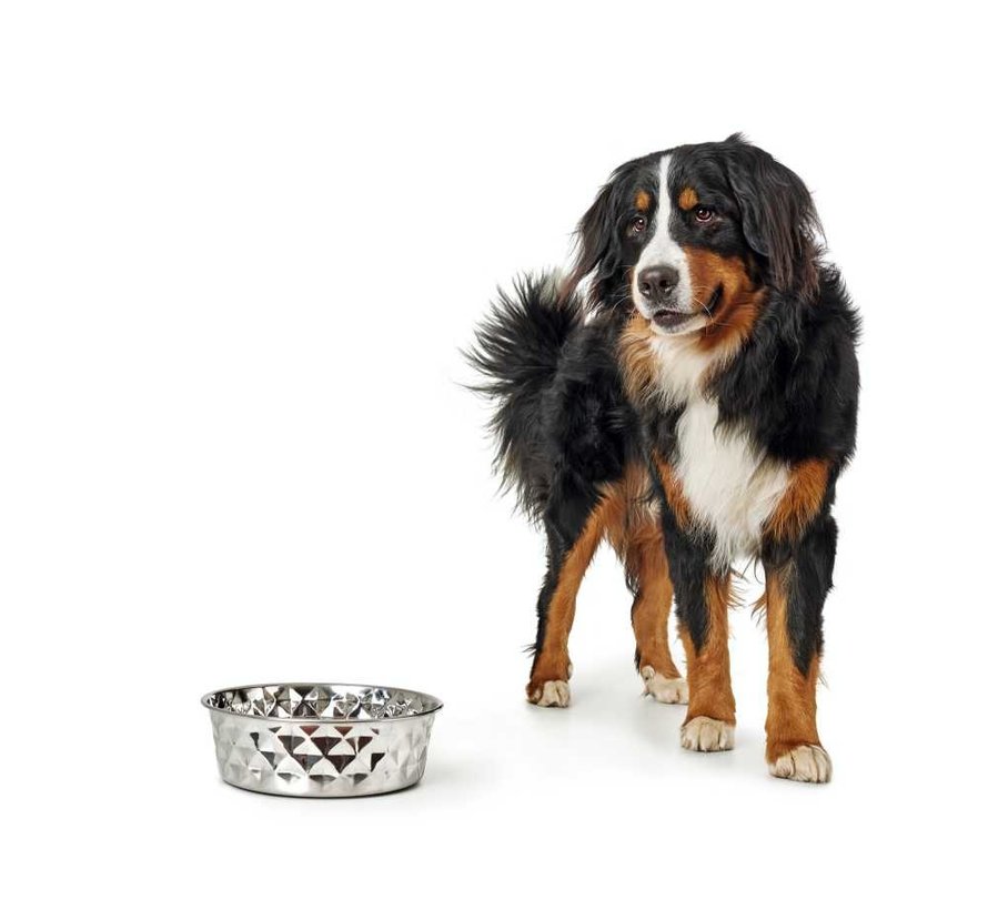 Drinking bowl / Feeding bowl Namy