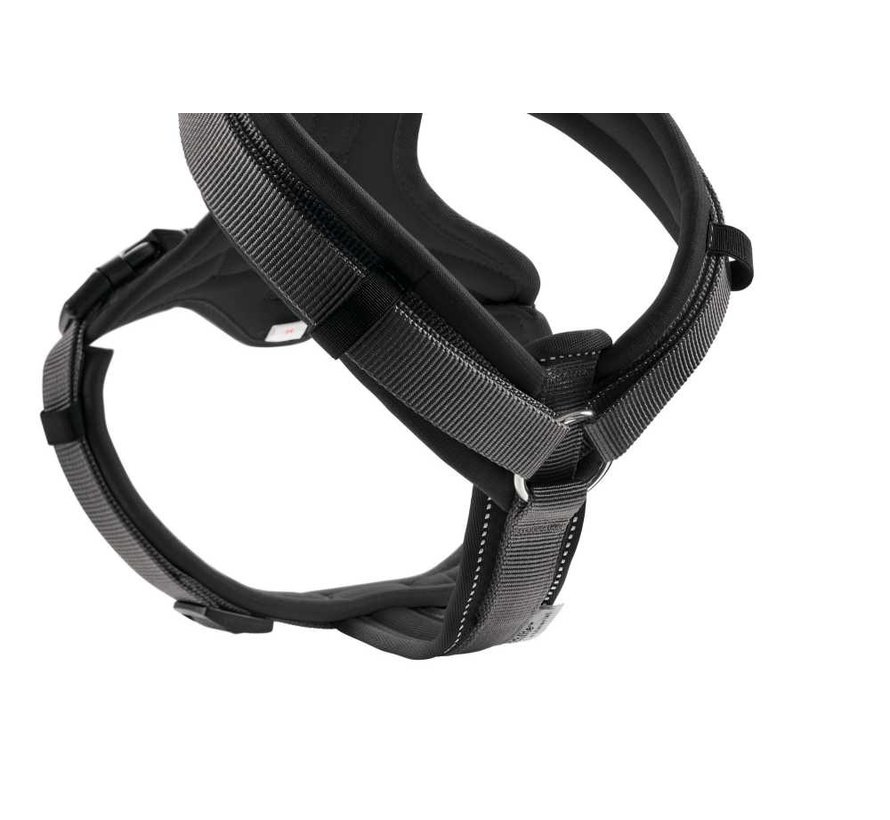 Dog Harness Maldon Black