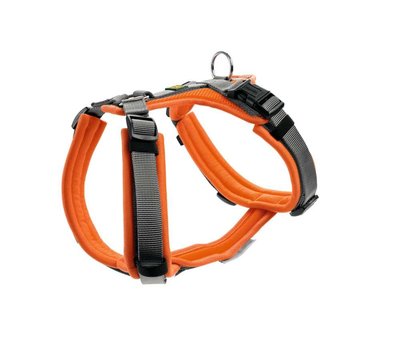 Hunter Dog Harness Maldon Orange