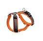 Dog Harness Maldon Orange