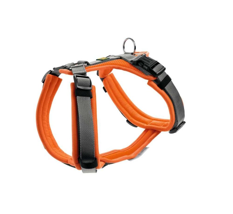 Dog Harness Maldon Orange