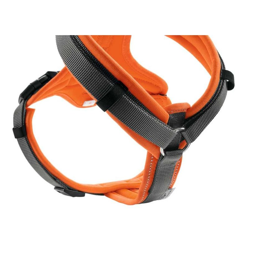 Dog Harness Maldon Orange