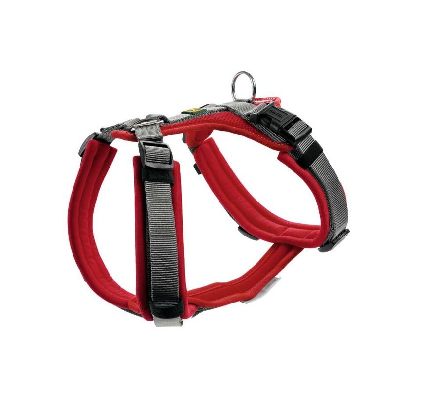 Dog Harness Maldon Red