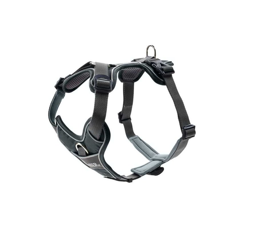 Dog Harness Divo Gray