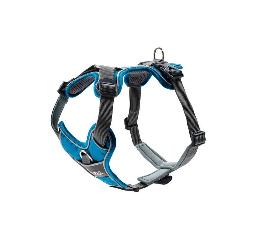 Dog Harness Divo Blue