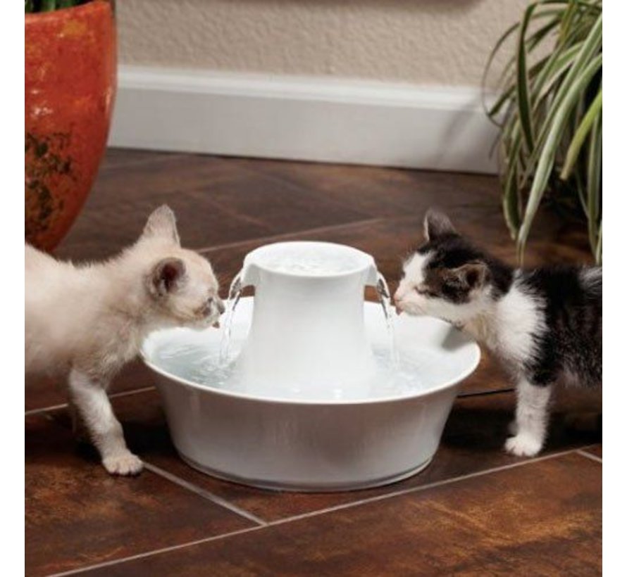 Pet Fountain Drinkwell Avalon