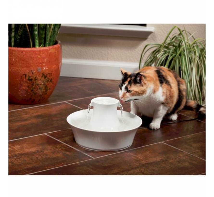 Pet Fountain Drinkwell Avalon