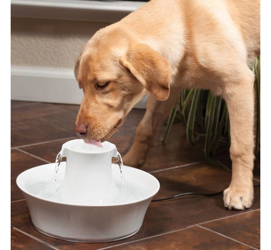 Pet Fountain Drinkwell Avalon