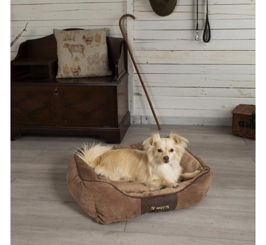 Dog Bed Chester Box Bed Chocolate