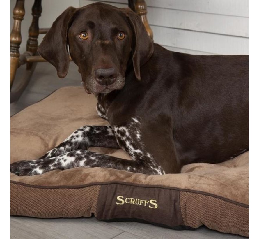 Dog Cushion Chester Chocolate