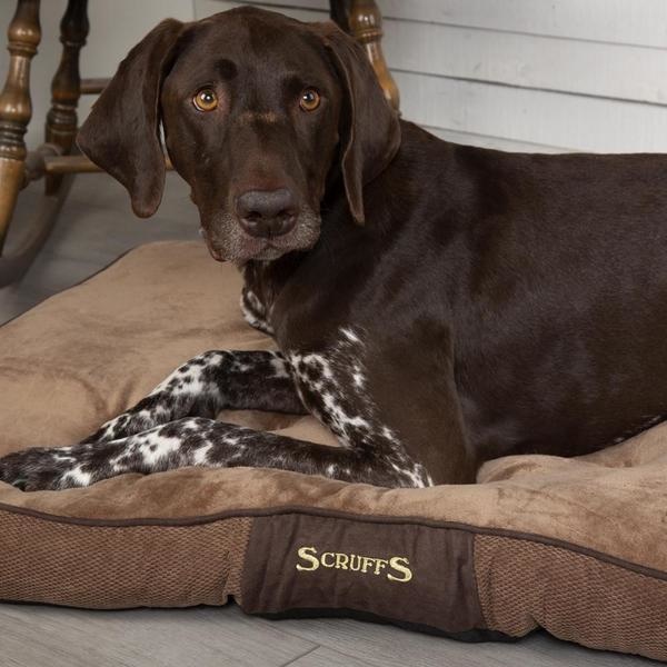 Afbeelding Scruffs Chester Mattress - M - Chocolade door Petsonline