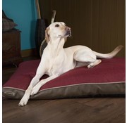 Scruffs Orthopedic Dog Cushion Hilton Red