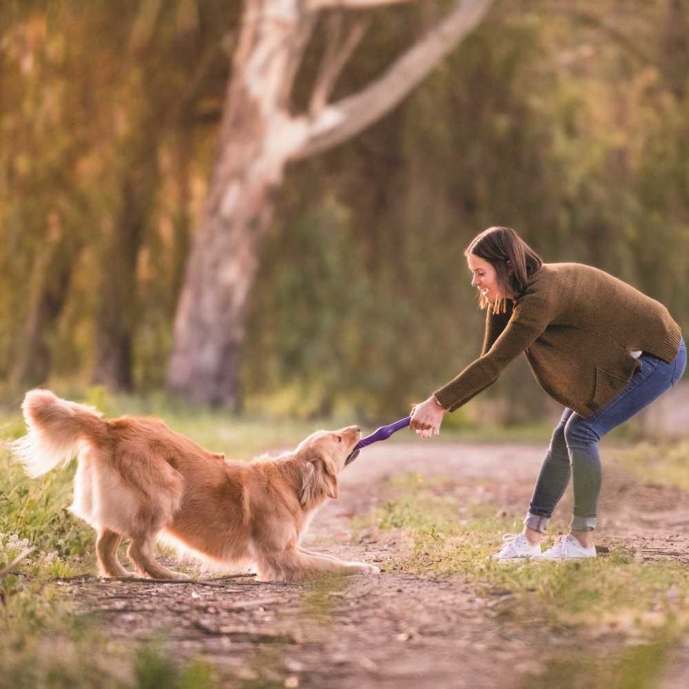 Afbeelding Hondenspeelgoed Echo Zwig Paars door Petsonline