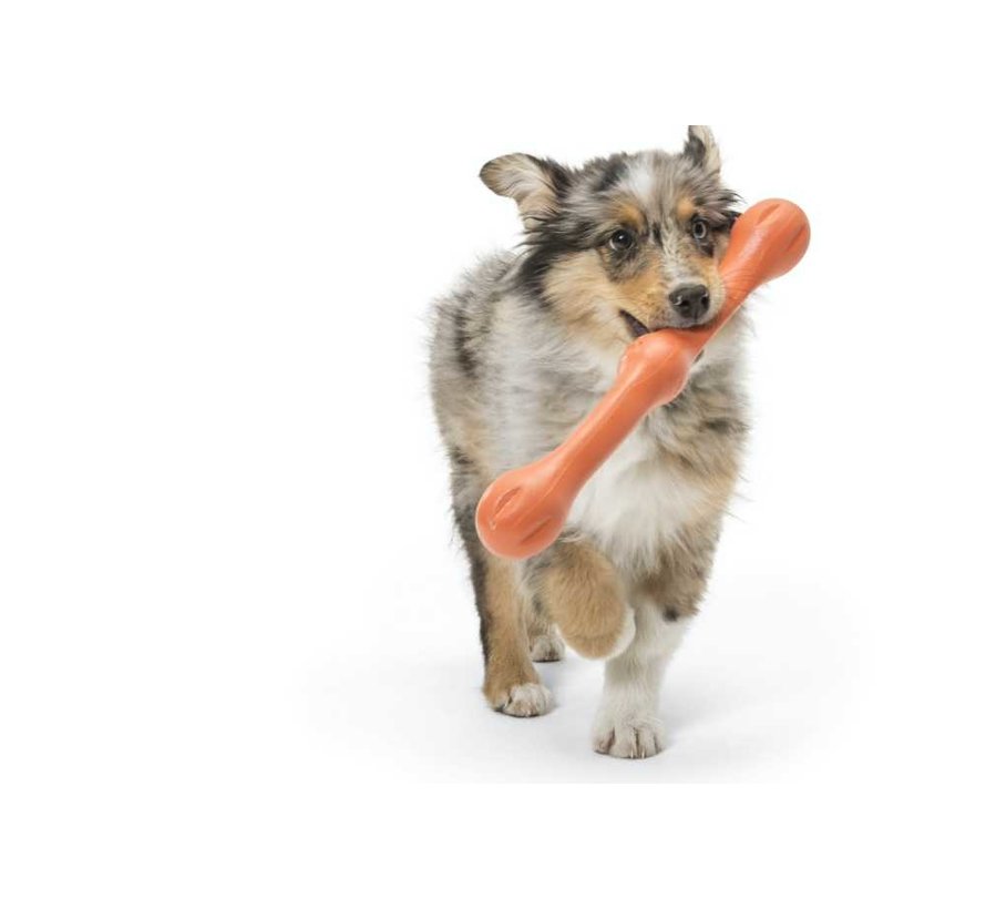 Dog Toy Echo Zwig Orange