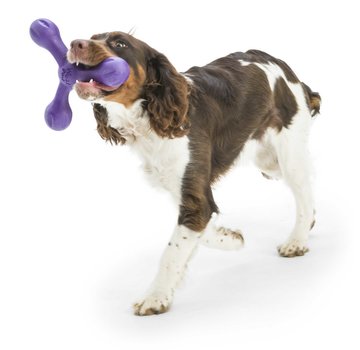 West Paw Design Dog Toy Echo Skamp Purple