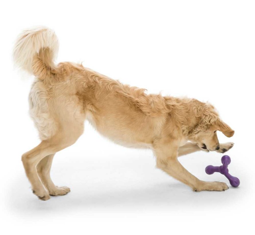 Dog Toy Echo Skamp Purple