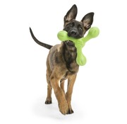 West Paw Design Dog Toy Echo Skamp Green