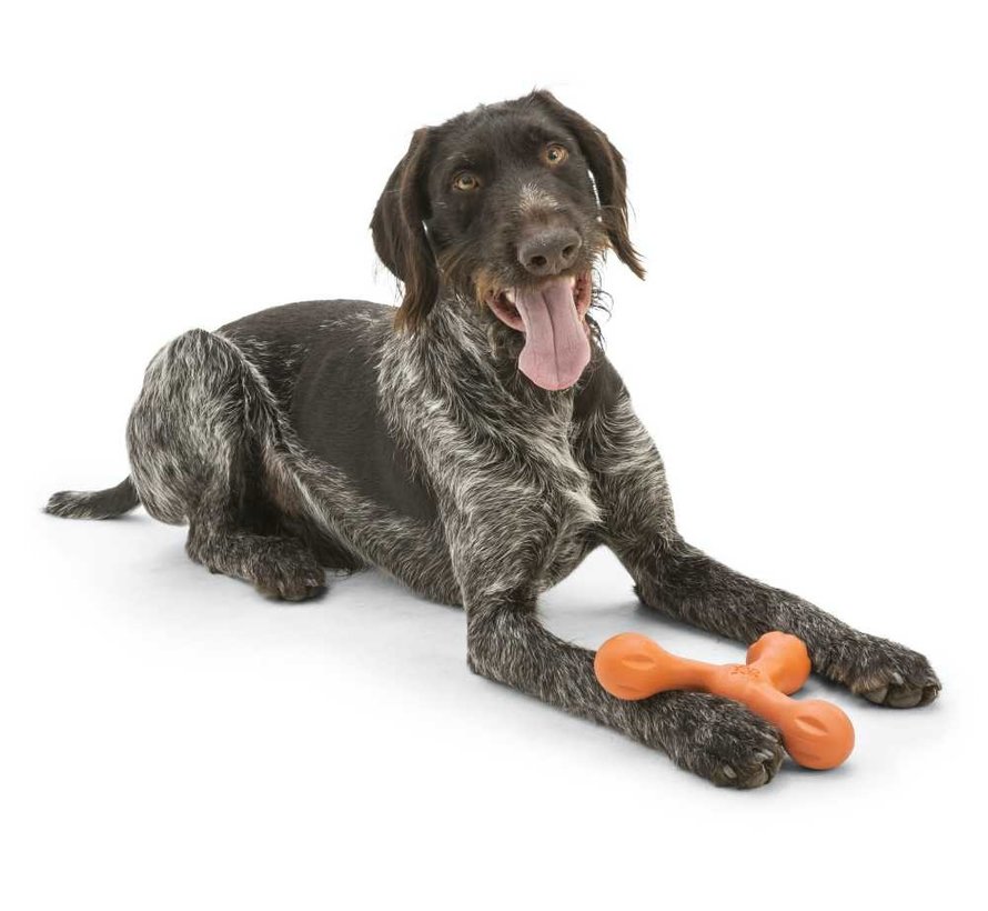 Dog Toy Echo Skamp Orange