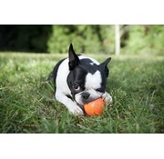 West Paw Dog Toy Zogoflex Jive Orange