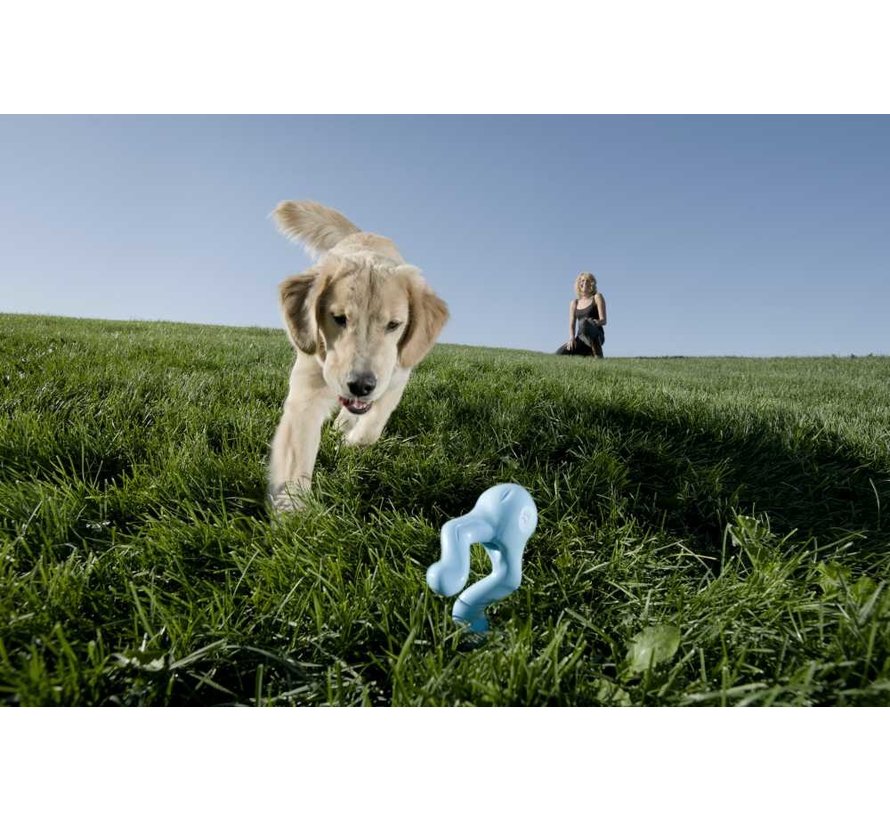Dog Yoy Zogoflex Tizzi Aqua