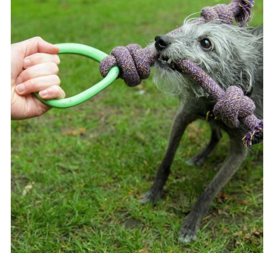 Dog Toy Hoop on a Rope Green