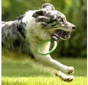 Beco Dog Toy Hoop on a Rope Green