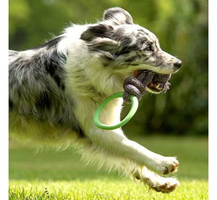 Dog Toy Hoop on a Rope Green