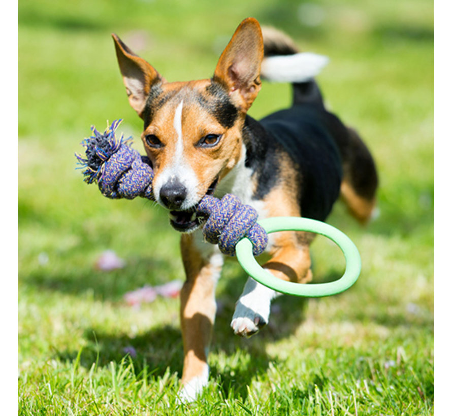 Dog Toy Hoop on a Rope Green