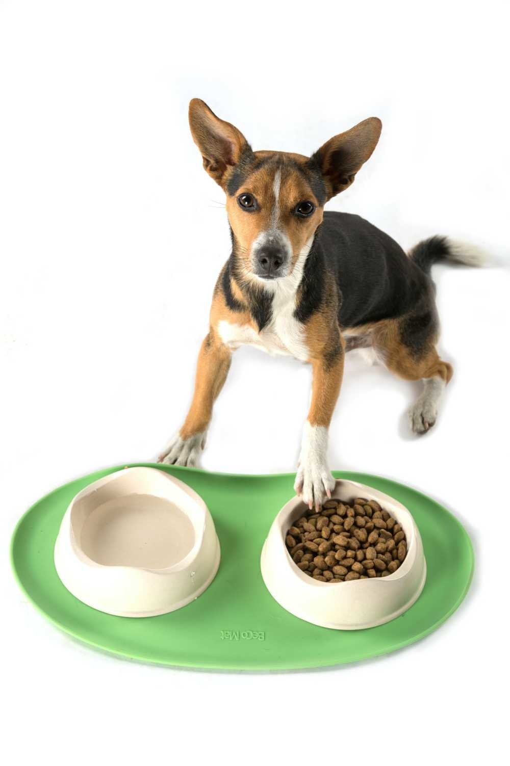 Afbeelding Beco Non Slip Placemat - Groen door Petsonline