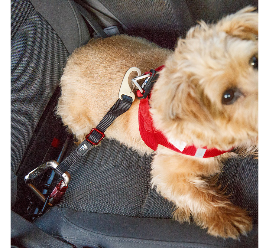 Autogordel Hond - Verstelbare VeiligheidsriemVeiligheidsriem voor in de auto: Veilig en Onbezorgd op Weg Wilt u uw hond veilig vervoeren zonder dat deze onverwacht door de auto beweegt? De Curli Veiligheidsriem is de ideale oplossing voor een verantwoorde