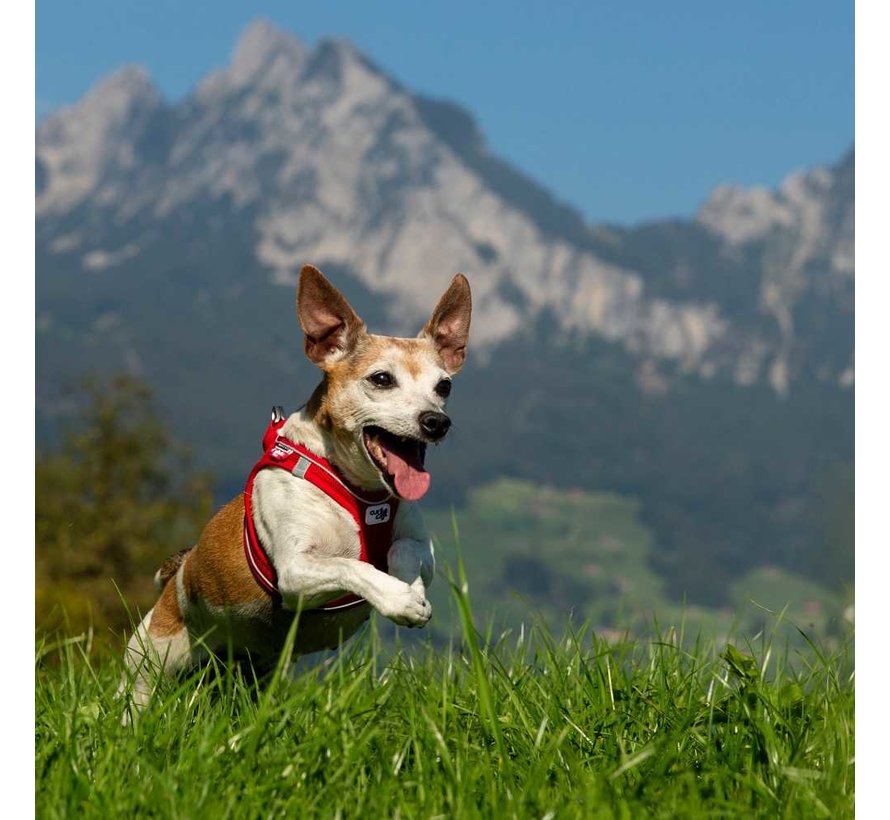 Dog Harness Magnetic Harness Red