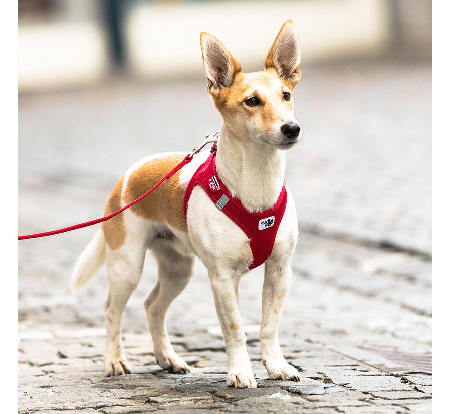 Dog Harness Air-Mesh Harness Red