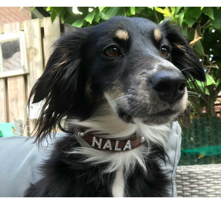 Dog Collar With Name Brown (Medium)