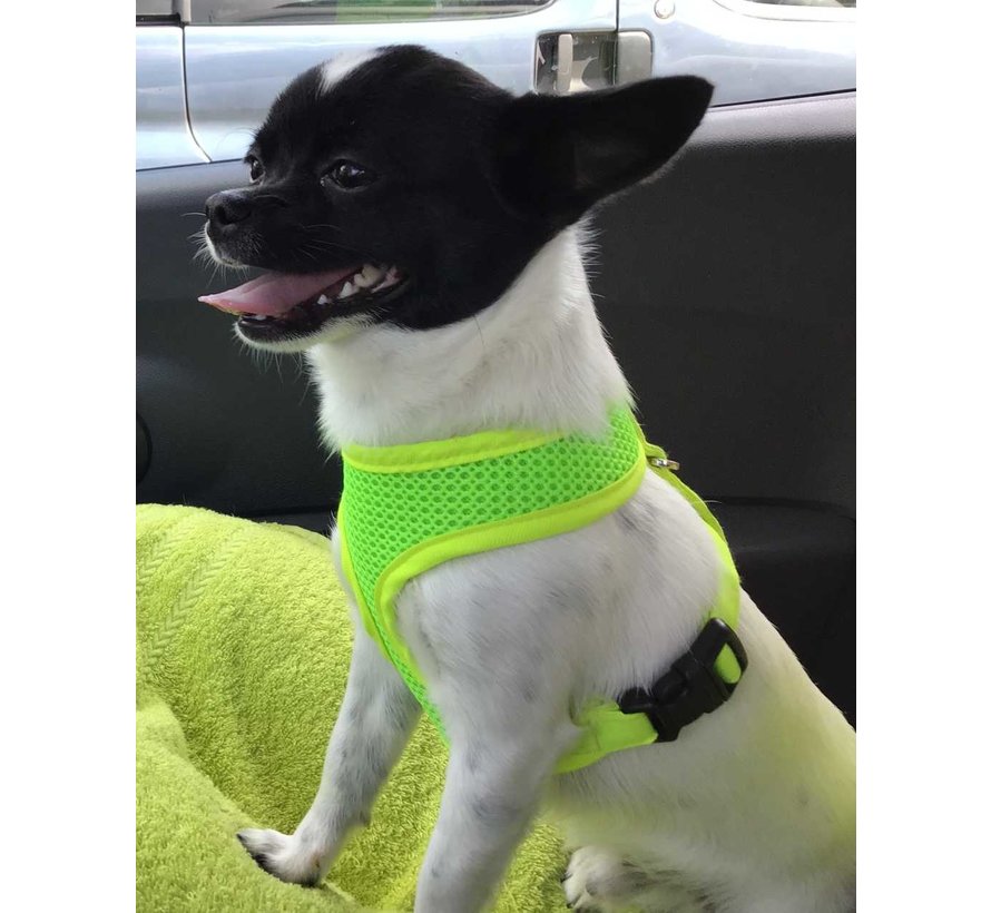 Dog Harness Round Loop Harness Mesh Fluo Green