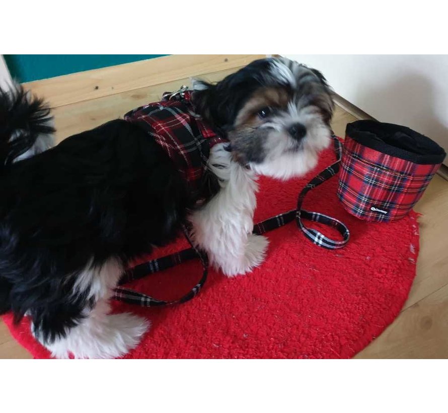 Hondentuig Comfy Harness Scottish Black