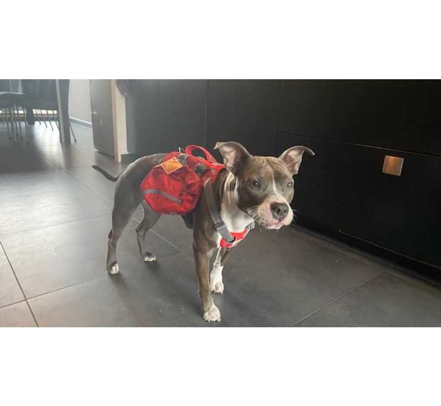 Dog Backpack Baxter Red