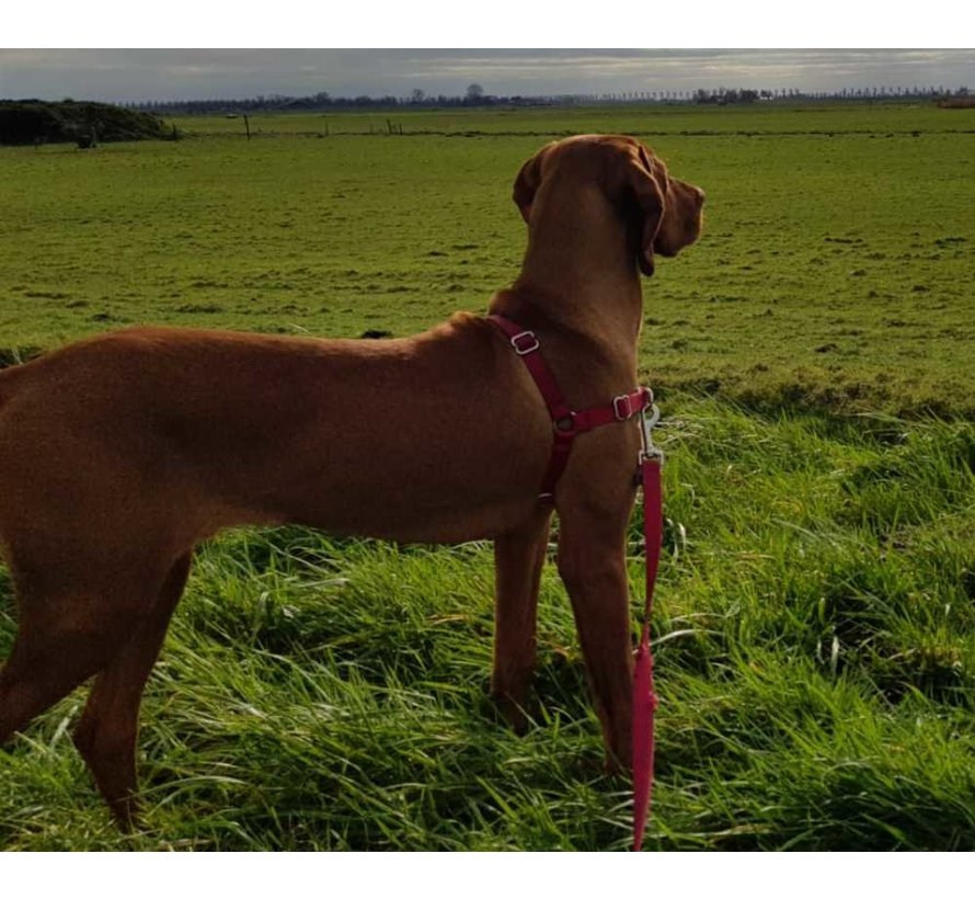 Easy Walk® Hondentuig Rood - Anti-Trek Set inclusief Riem
