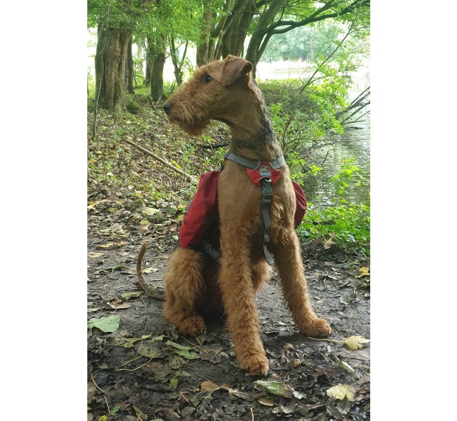 Hondendraagtas Rugzak Baxter Rood