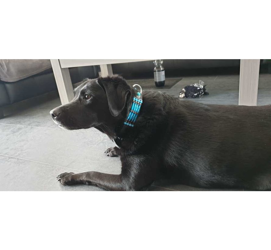 Dog Collar Blue River 35mm