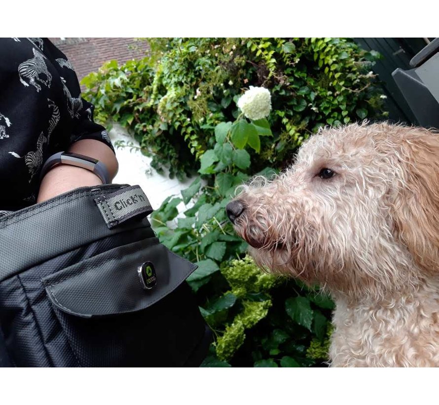 Treat Bag Click and Treat Black