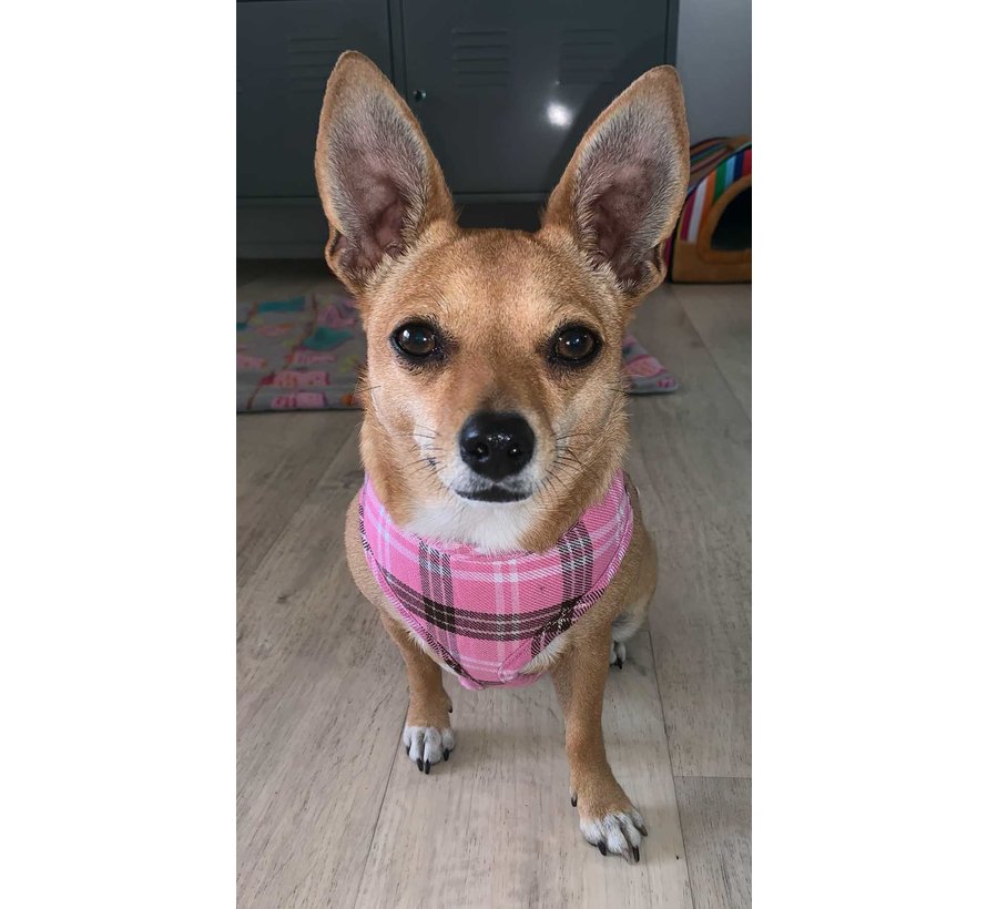 Hondentuig Round Loop Harness Scottish Pink