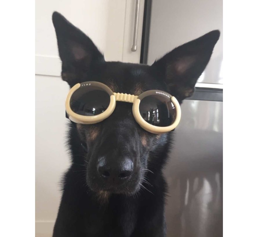 Dog Sunglasses Chrome