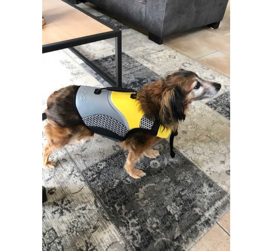 Dog Life Vest Pro Life