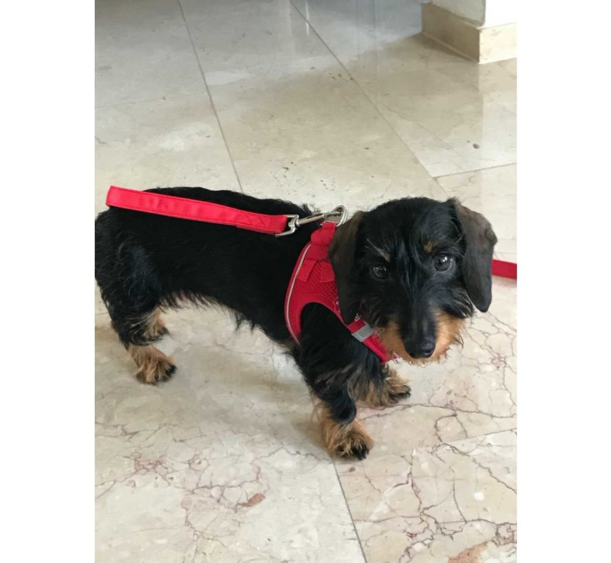 Dog Harness Magnetic Harness Red