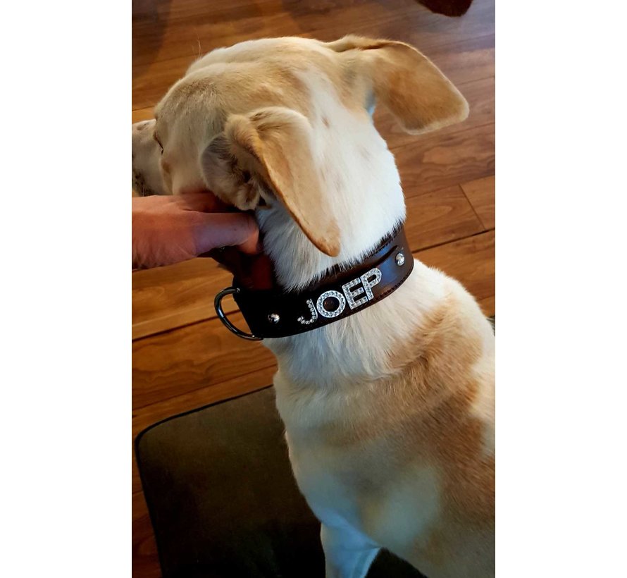 Dog collar with name Large Brown