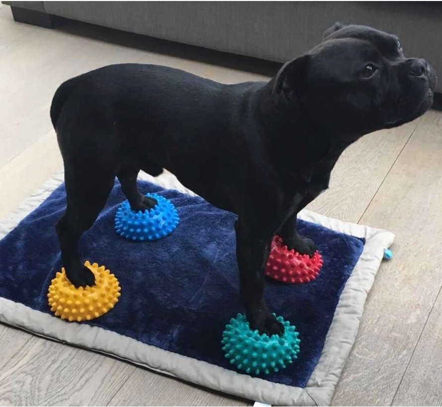 Pootkussentjes voor Honden - set van 4