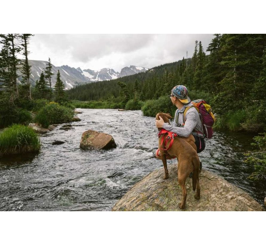 Dog Harness Front Range Red Sumac